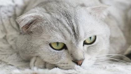 九游网页版官网入口-绝地求生 选手训练强度持续加大，绝地求生训练手雷在哪里