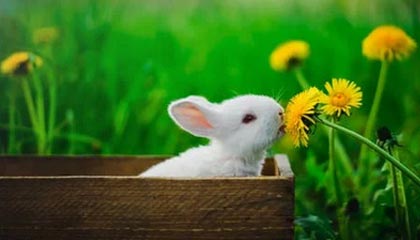 九游网页版官网入口-绝地求生 选手训练强度持续加大，绝地求生训练手雷在哪里