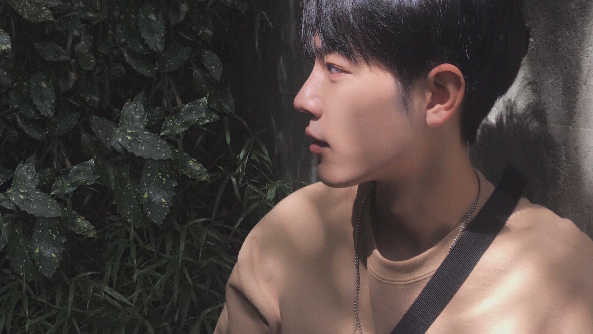 随机日本骑手高桥洋子在2024年国际马术障碍大奖赛中与“闪电”马匹获得亚军，表现出色。