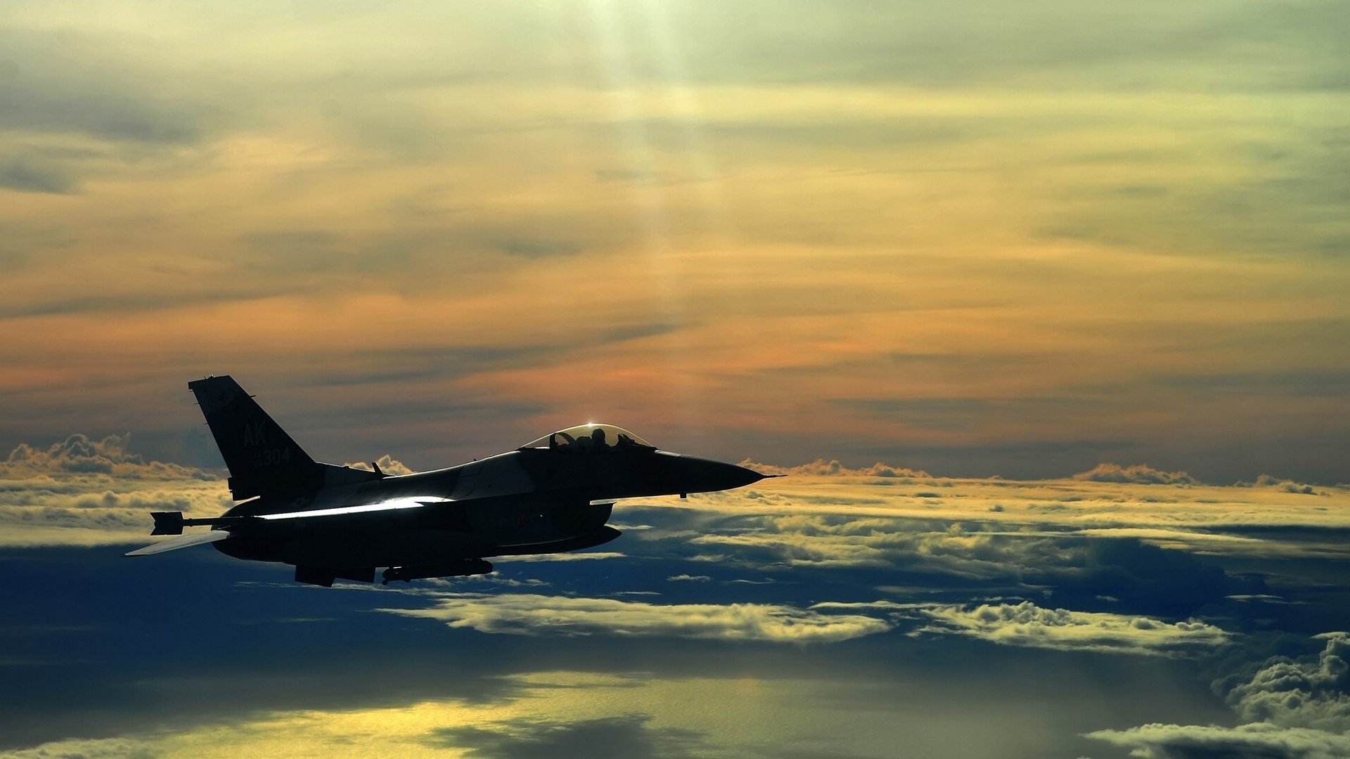 新晋车手:从看台到领奖台的奇迹,新晋车手什么意思