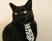 篮球赛事品牌推广策略初见成效,篮球比赛推广方案