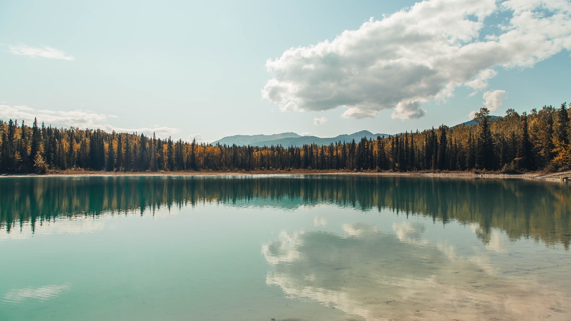 英超:阿森纳大胜沃特福德,士气大振追赶领头羊,英超联赛阿森纳