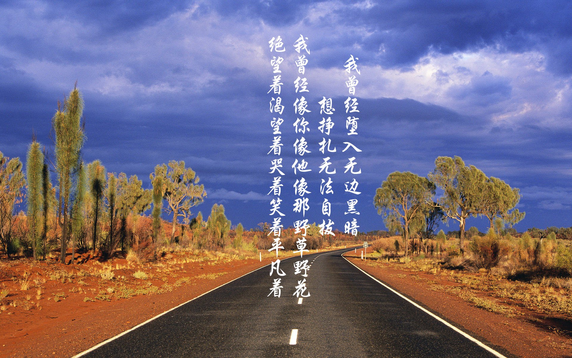 随机青训“产业+科技”融合发展新路径逐步清晰，行业高质量发展加速