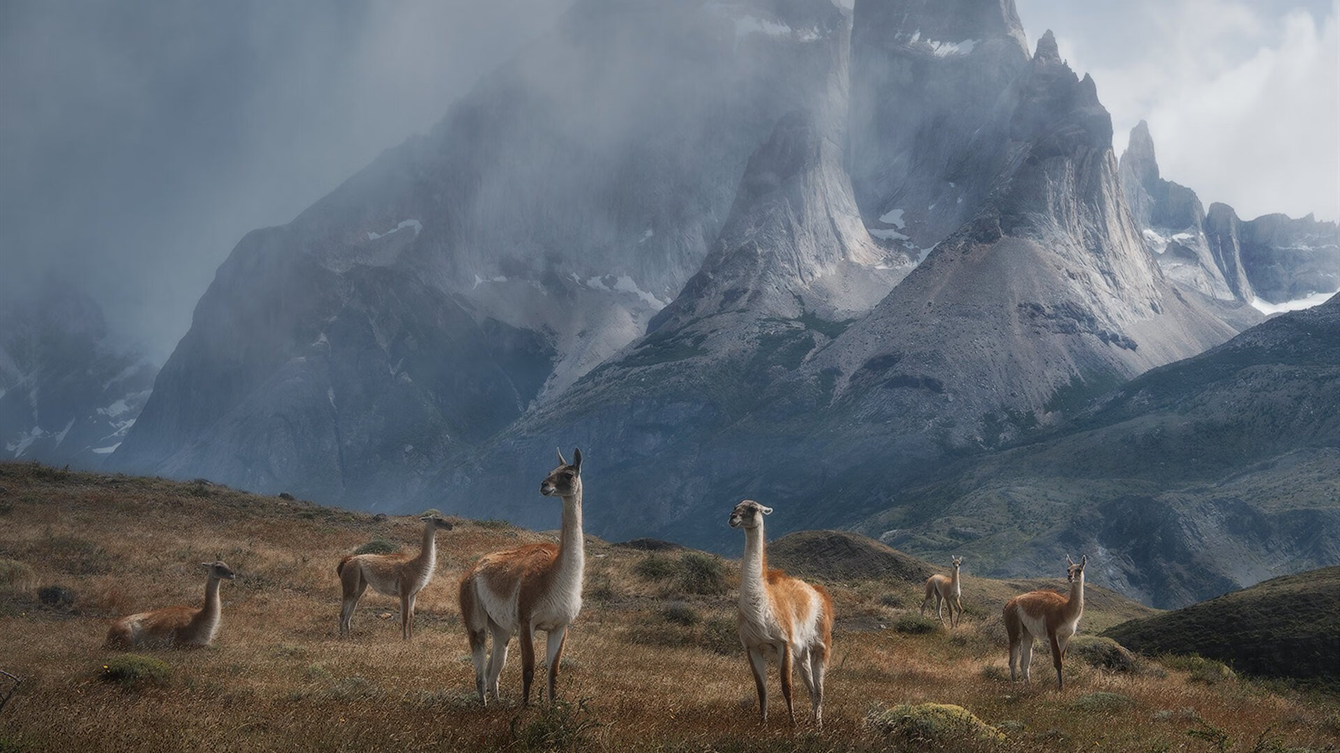 JIU YOU GAME-丹麦 CS_GO 选手在国际赛事中屡获殊荣，丹麦电子竞技俱乐部