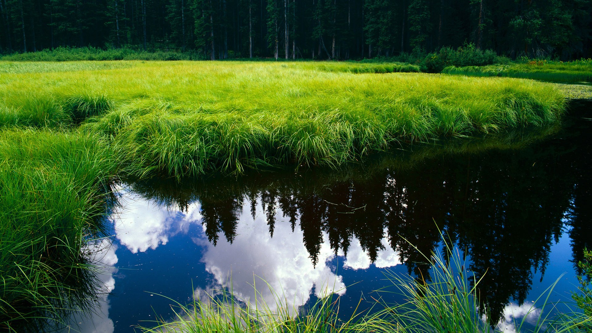 兹韦勒取得关键胜利,法国联赛表现逐渐回暖,法国网球公开赛兹维列夫