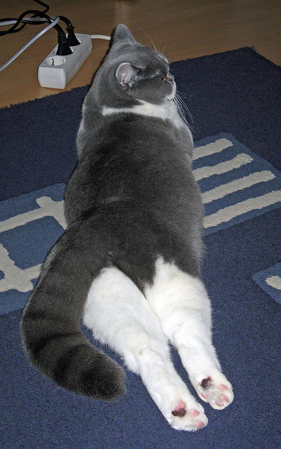 九游娱乐-塞维利亚客场1-0战胜赫塔费，艰难取胜，塞维利亚对赫塔菲比分结果