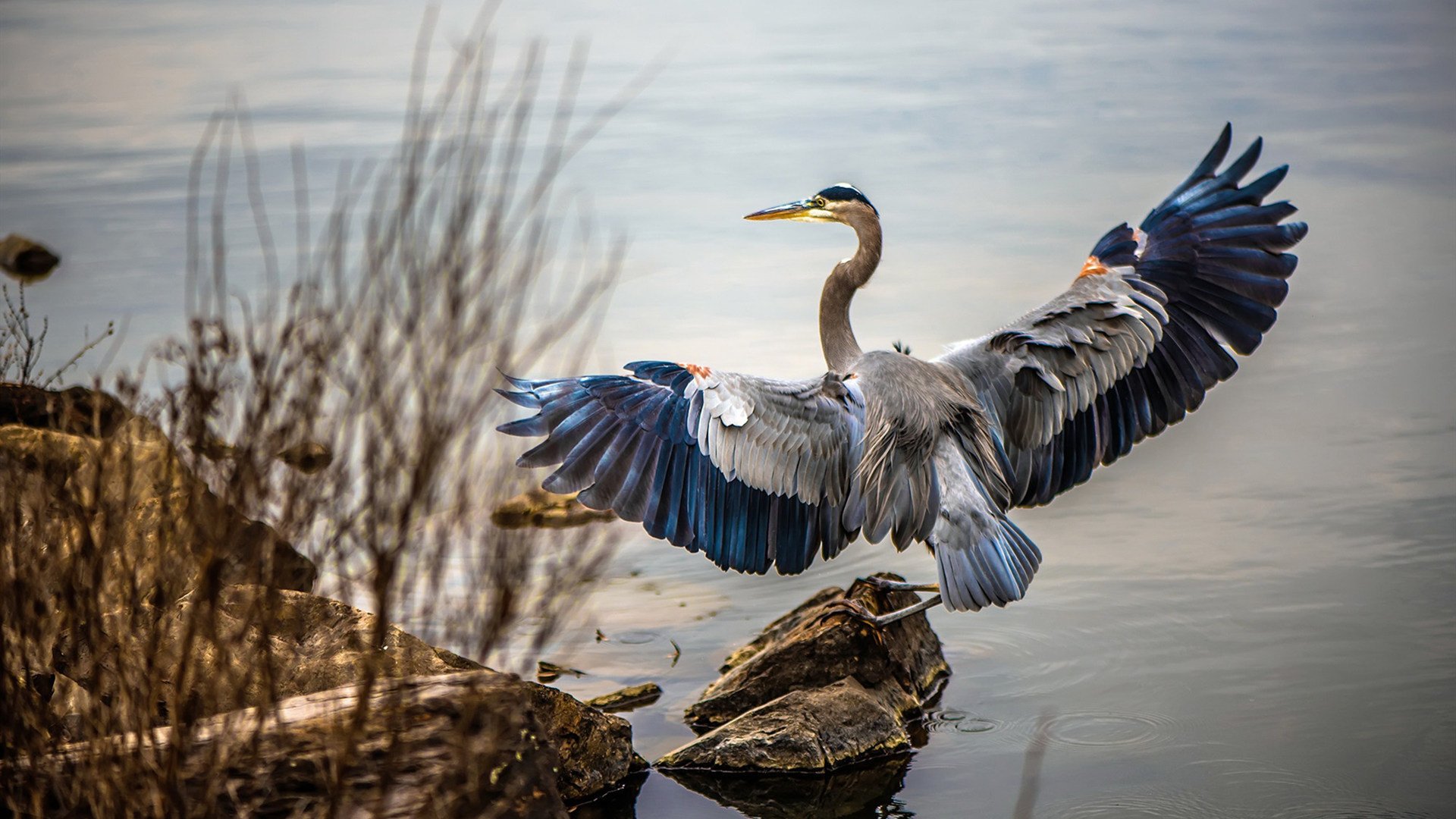 九游网页版官网-巴黎女足完胜里昂，达布里纳世界波再成焦点，巴黎女足主场