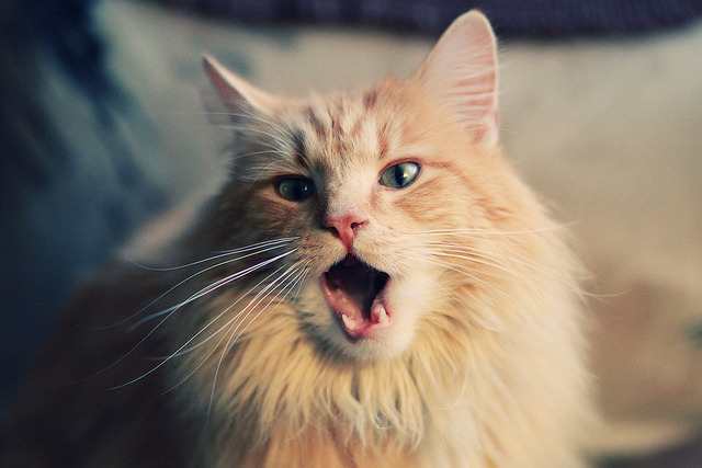 九游(jiuyou)官方网站-湖人队核心球员低迷状态结束，重回巅峰，湖人队组合