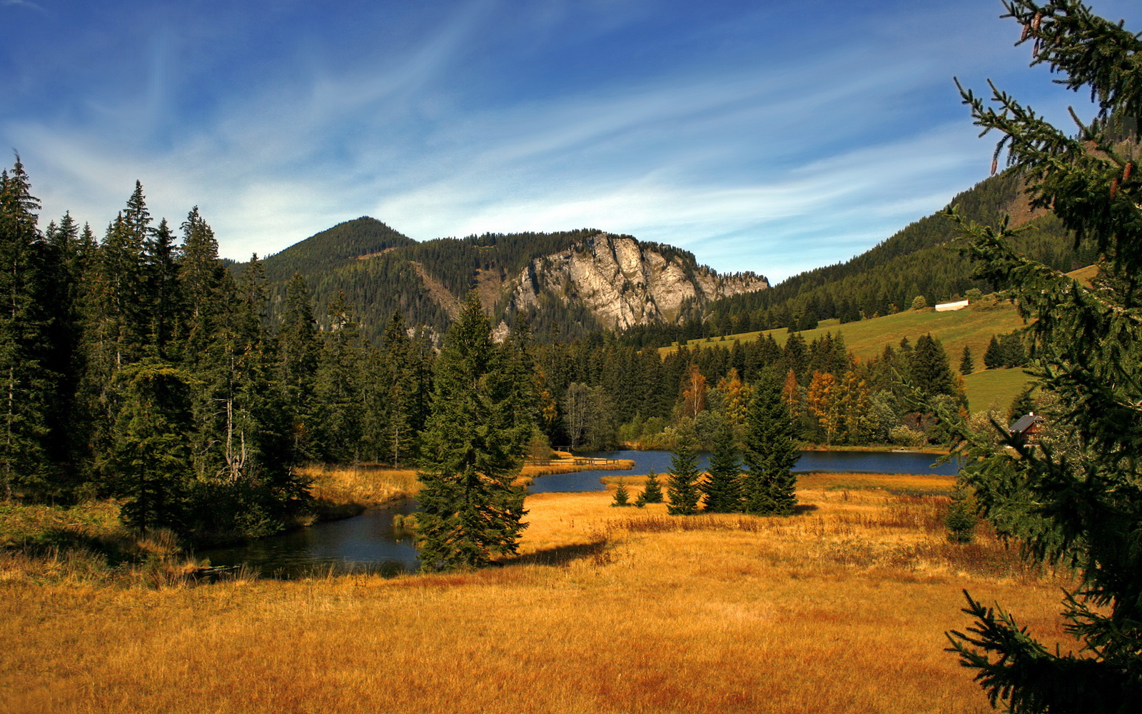 电竞主播内容创新与粉丝互动提升的多元化路径研究,电竞主播的看法