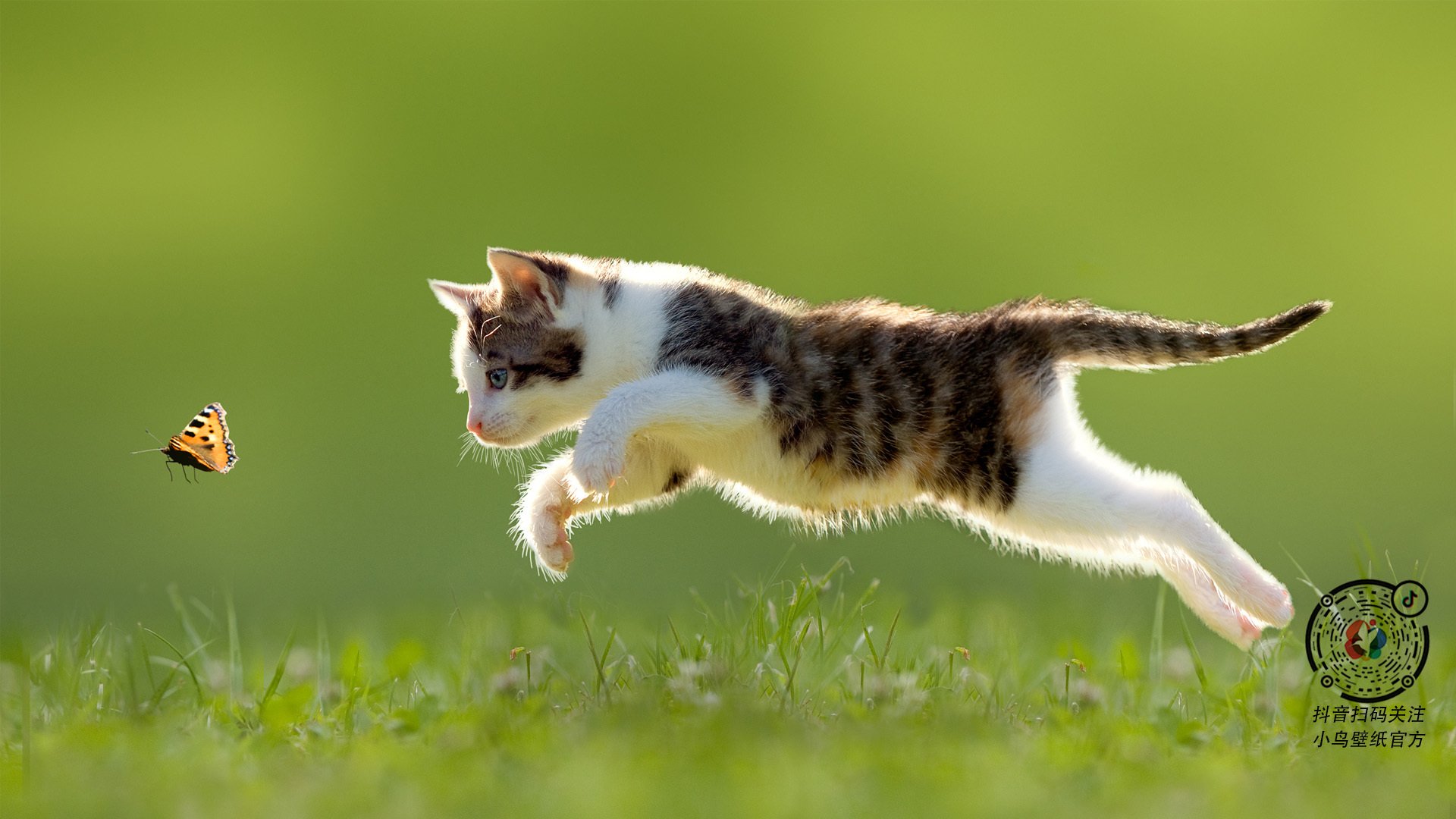 九游娱乐(jiuyou)官方网站-职业联赛是否需要建立统一的技术统计体系，参加职业联赛要钱吗