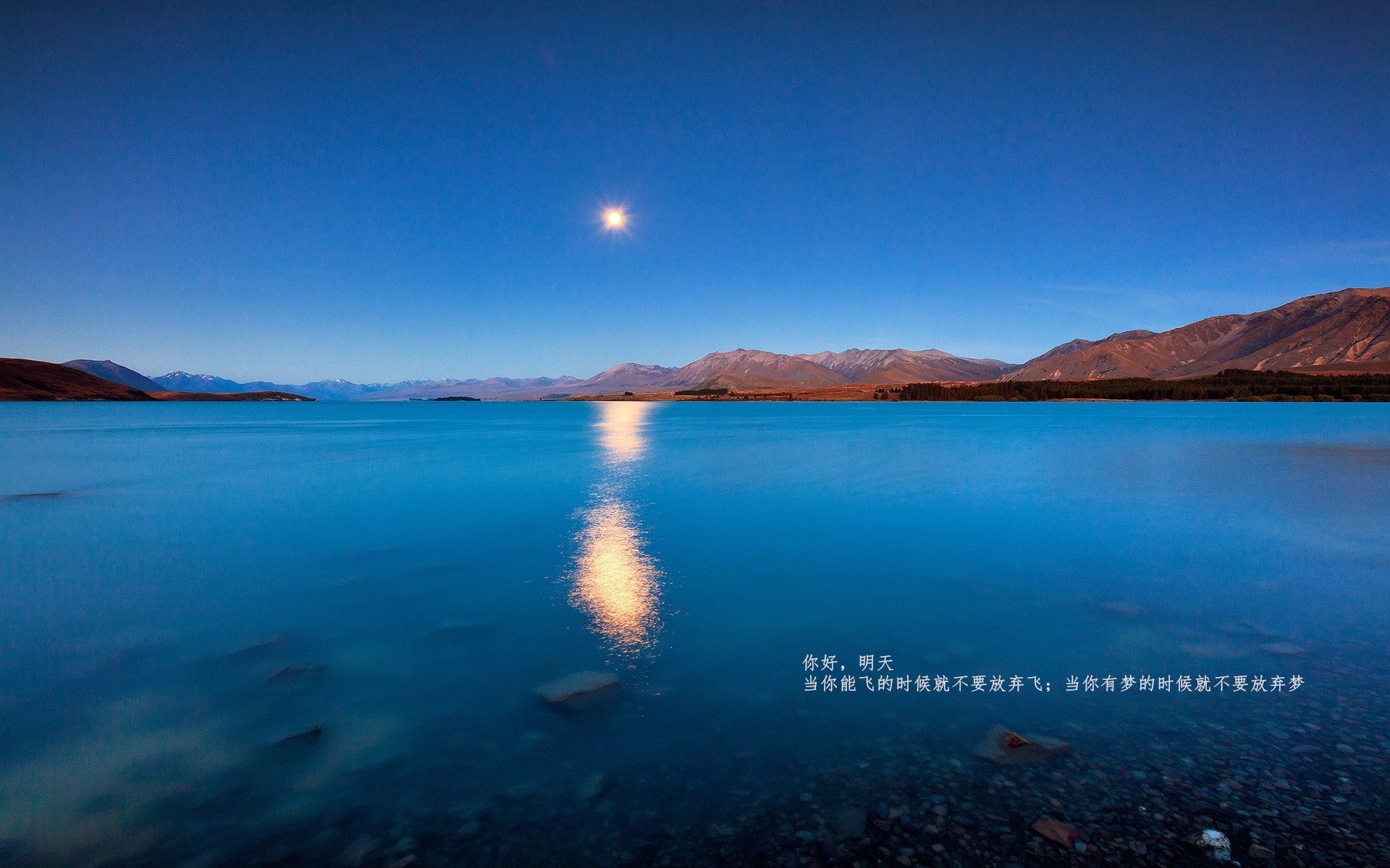 九游9游-马赛再遭意外失利，球队需调整战术寻找突破，马赛2021阵容