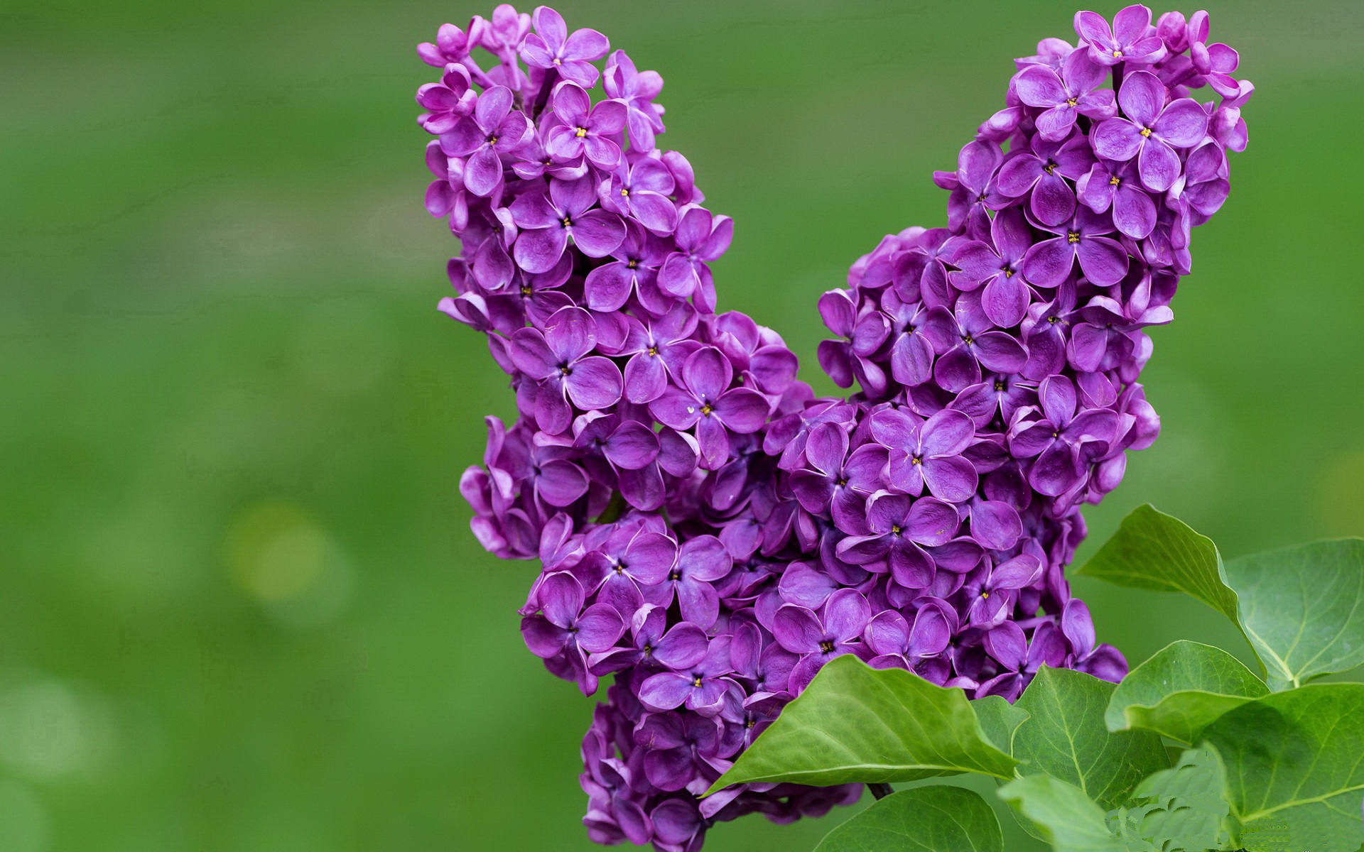 九游娱乐APP-世俱杯冷门不断：黑马球队如何逆袭强劲豪门？，什么是世俱杯