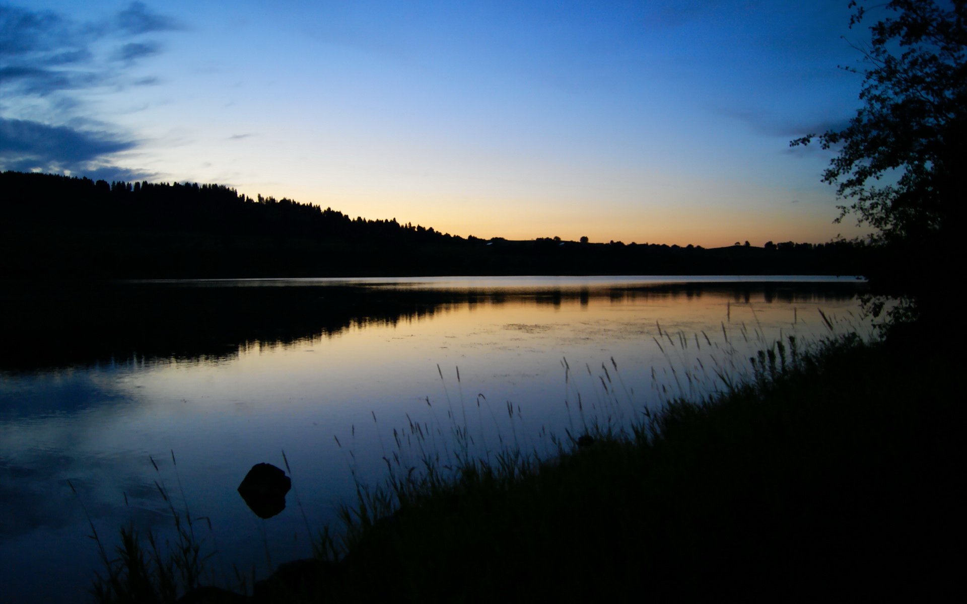 中国青少年篮球推广与校园篮球融合发展策略,2019全国青少年校园篮球特色学校