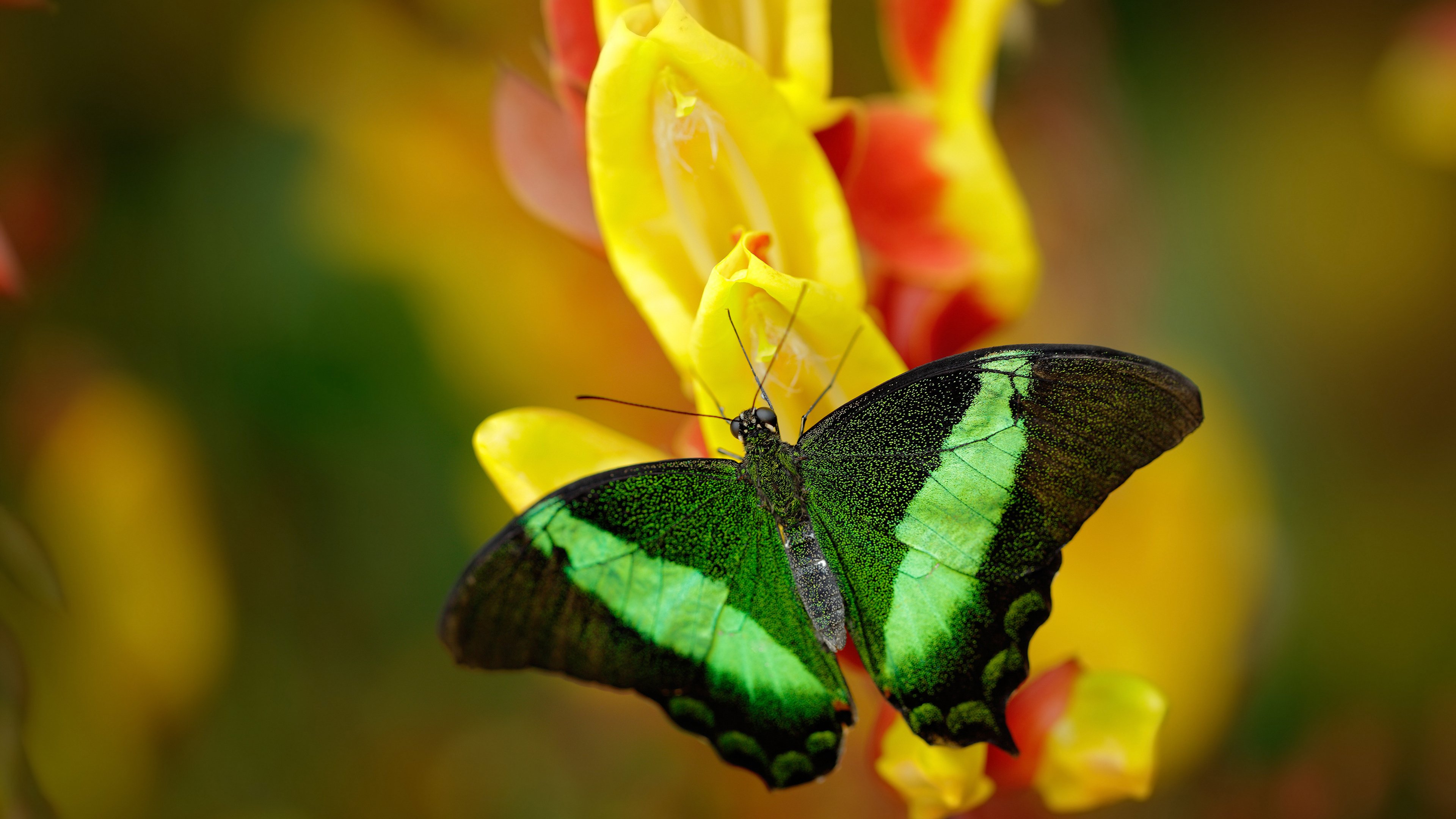 九游下载安装-中超球队对外热身赛表现回顾，曝中超热身赛起冲突