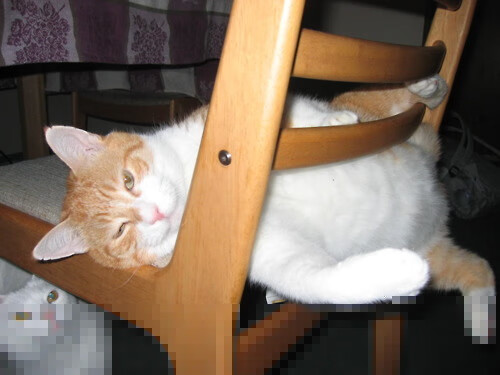 高光回顾:五大联赛年度最佳比赛集锦,五大联赛各位置赛季十佳球员