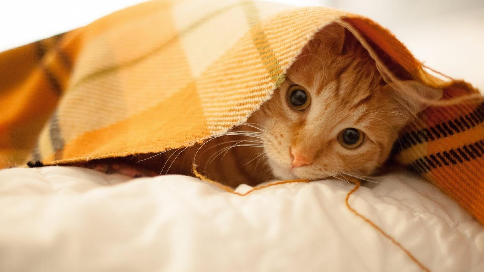 Jiuyou-中超联赛国家队爆冷 球迷反思防守问题，中超球队减少