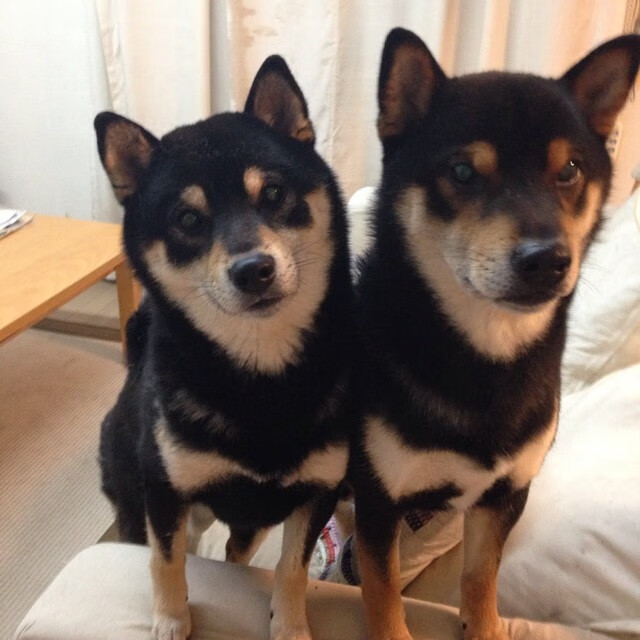 体育新闻中心构建体育赛事多渠道内容发布体系，大型体育赛事新闻运行的五大核心板块