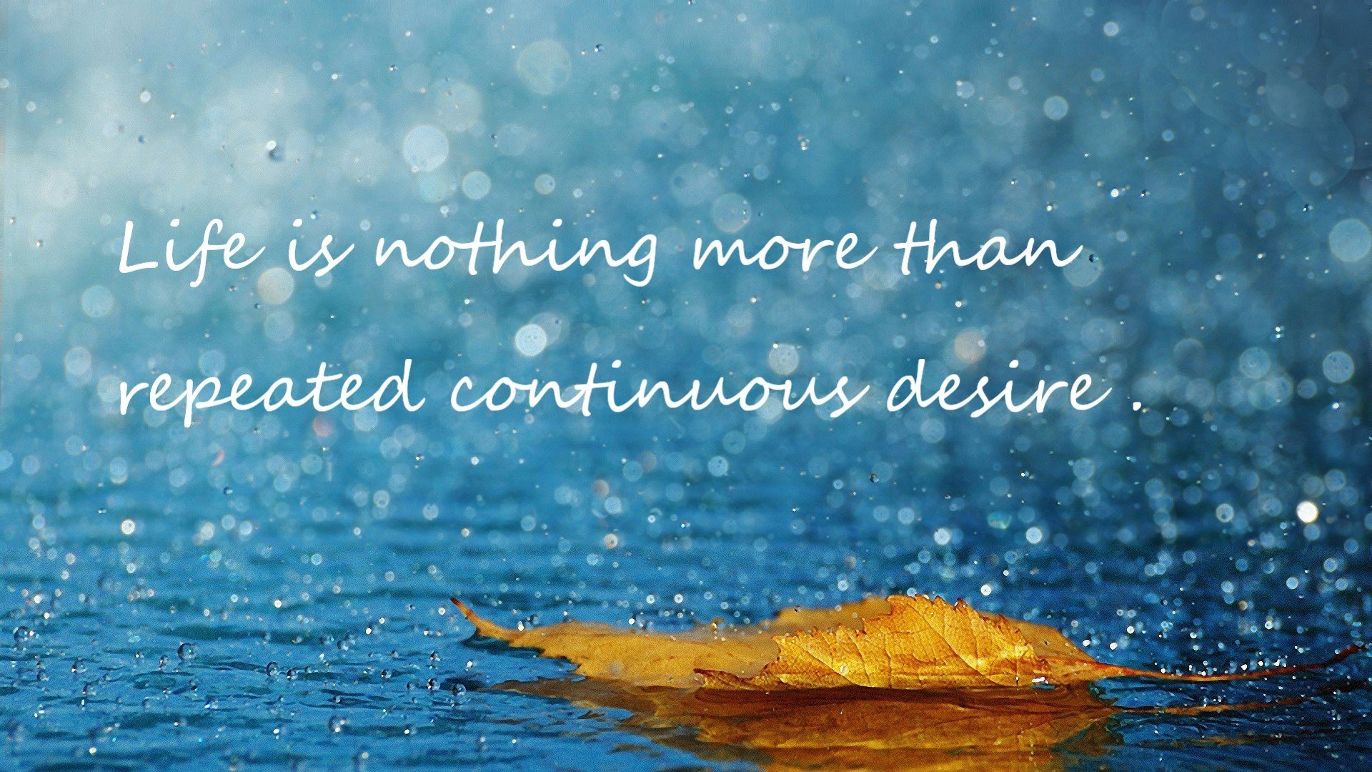 职业联赛竞争体系亟需优化，职业联赛的性质