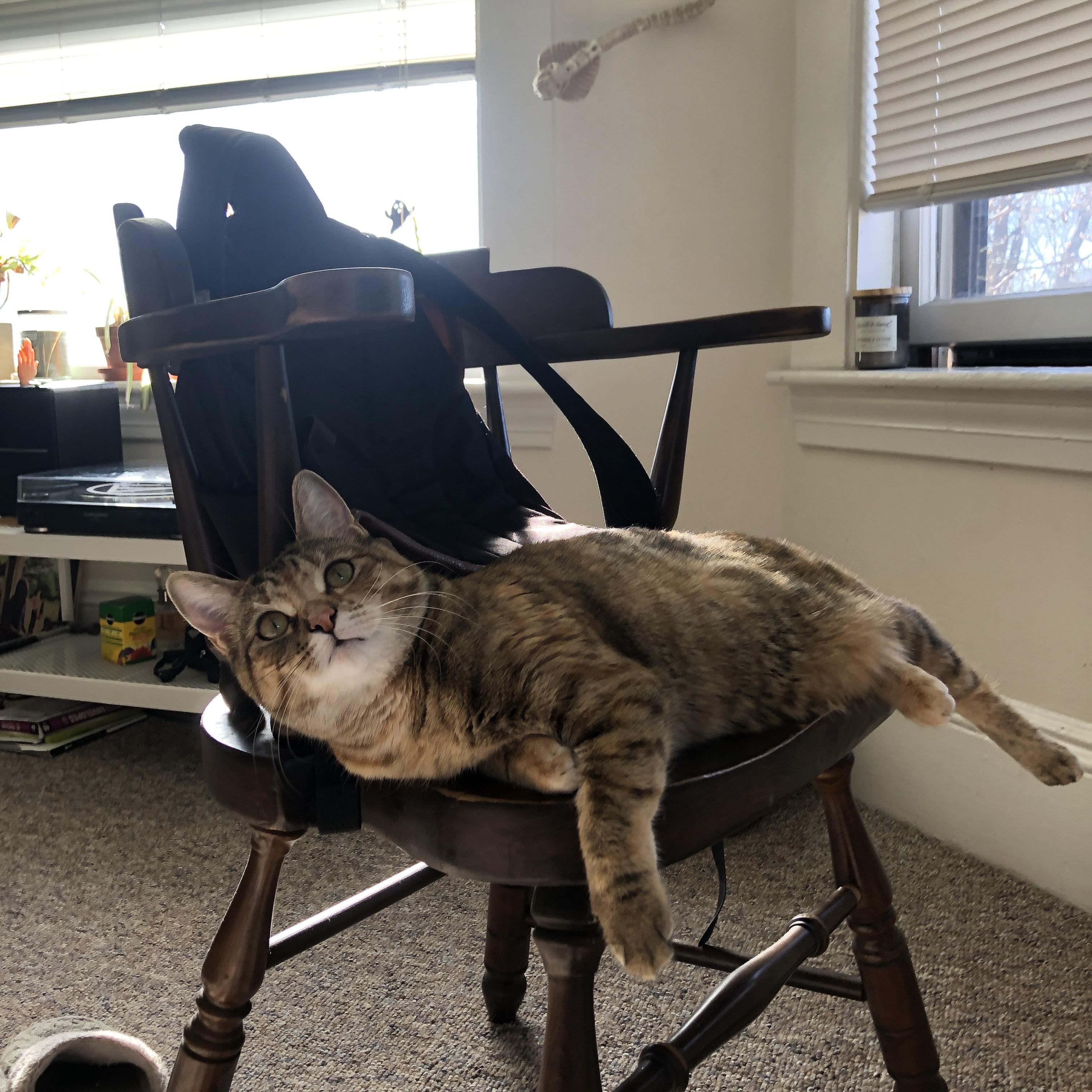 Jiu You-运动科技赋能体教融合发展新模式，运动科技赋能体教融合发展新模式是什么