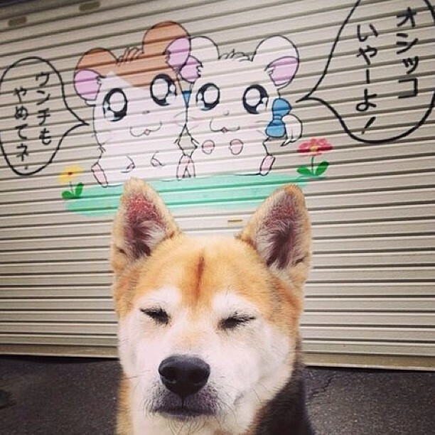 中乙联赛加强裁判选派机制提高执法一致性，中甲联赛裁判