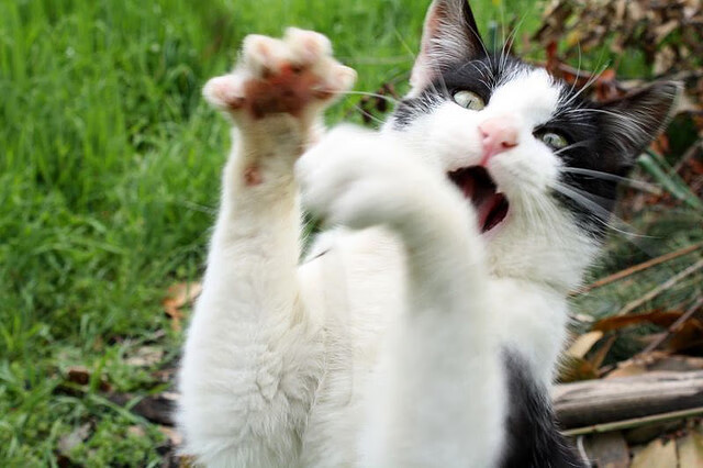 新赛制上路,淘汰赛难度再提升,淘汰赛阶段