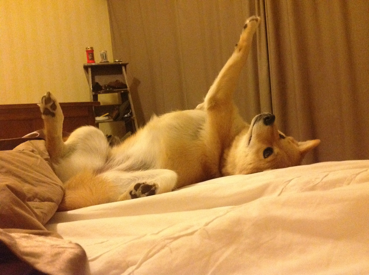 JIUYOU GAMING-特色足球文化旅游周成为城市文化品牌的重要组成部分，足球文化设计