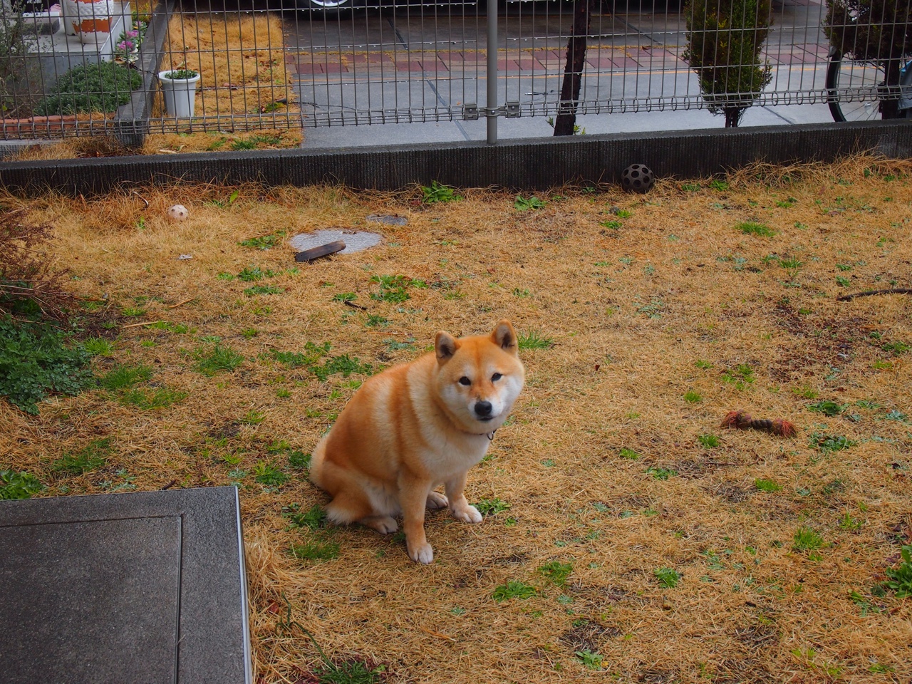 瑞·弗兰:全黑队进攻的“破局者”,突破后的进攻总能撕开对方防线