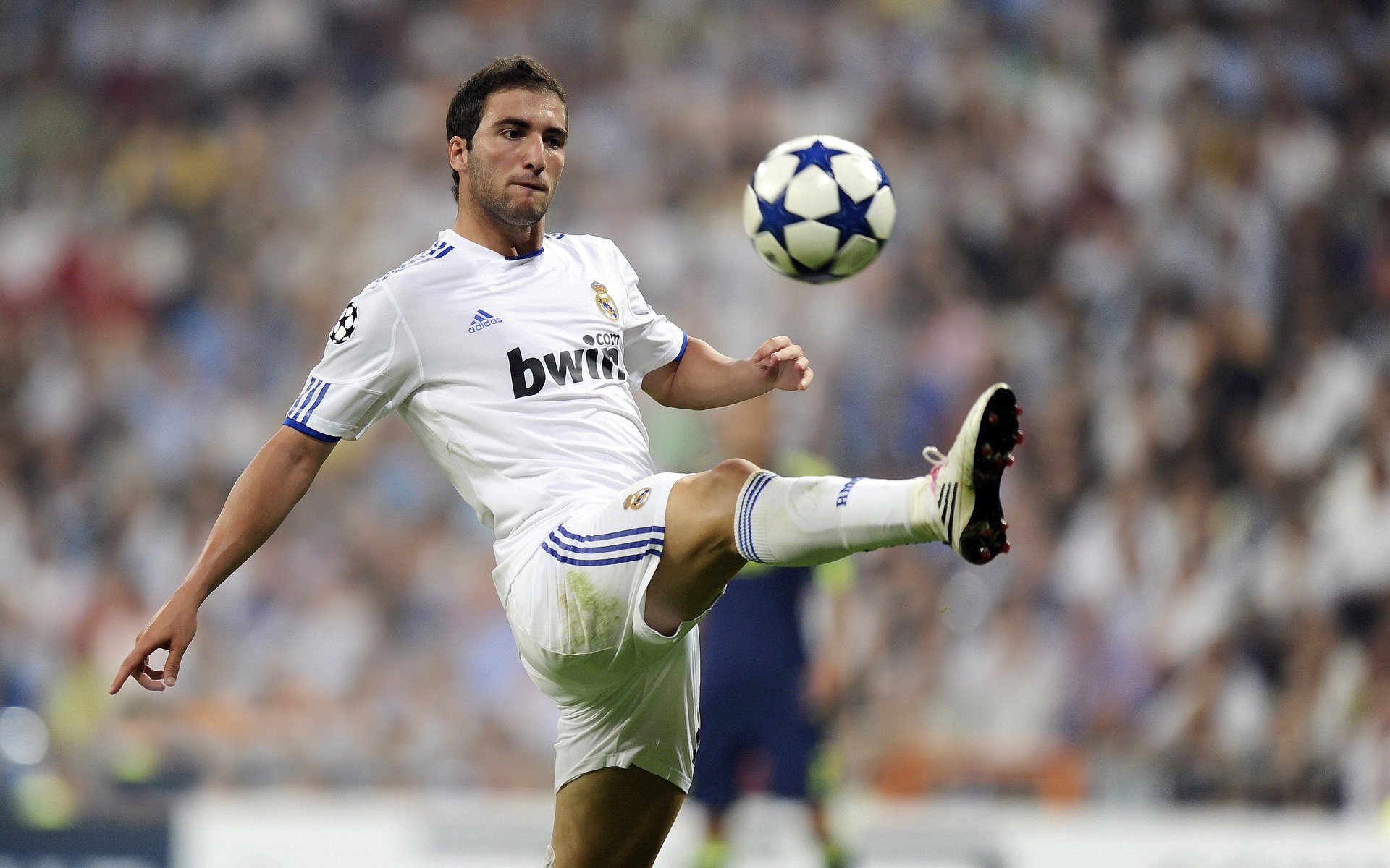 _职业赛场外：运动员的公益行动_，职业运动员 知乎